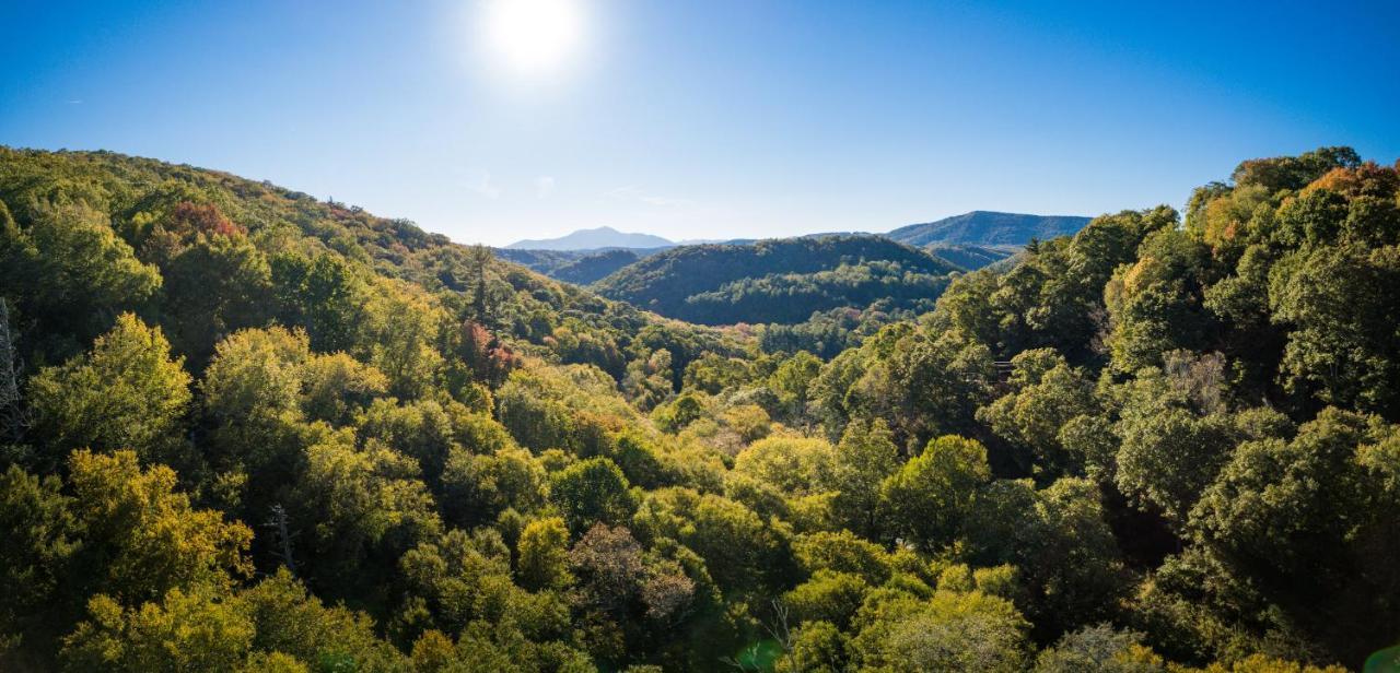 The Wanderer Guesthouse Boone Dış mekan fotoğraf